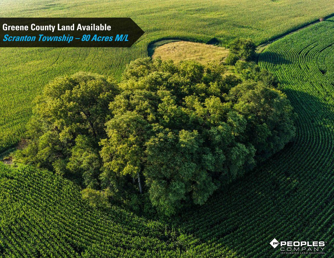 Listing Photo: Greene-County-Land-Available-Scranton-Iowa-80-Acres-19663 (9)